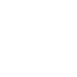 Brito Market