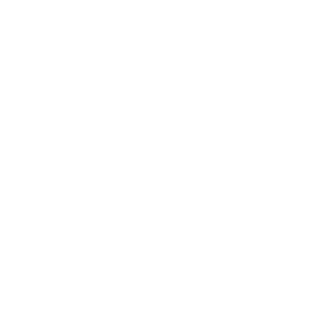 Electro 18